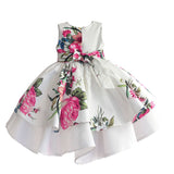 Baby girl Floral print party dress