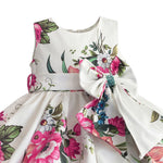 Baby girl Floral print party dress