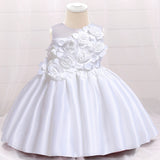 Cute Baby Girl floral Dress outfit