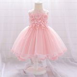 Floral baby dress outfit princess dress