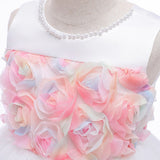 Colorful Flower Girl Princess Dress