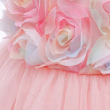 Colorful Flower Girl Princess Dress