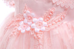 Lace Floral Dress Tulle Baby Girl Party Dress